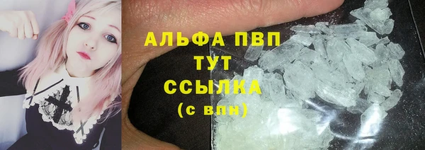 дмт Аркадак