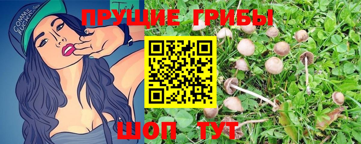 Псилоцибиновые грибы Psilocybe  Галлюциногенные грибы мицелий  Вход с VPN  Курган 