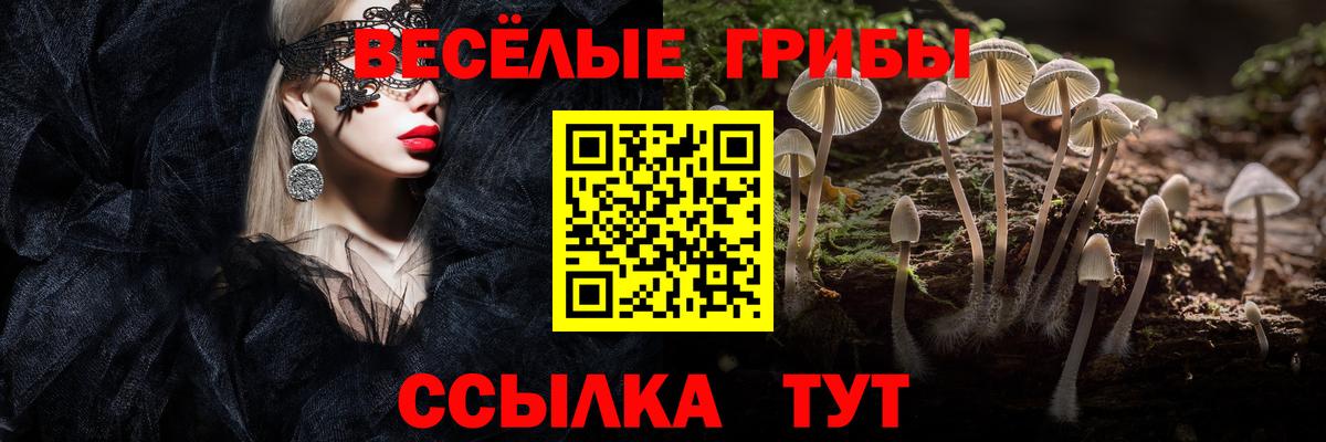 Псилоцибиновые грибы ЛСД Курган